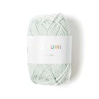 Fil Ricorumi réf.037 Vert glace