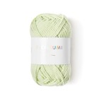 Fil Ricorumi réf.045 Vert pastel